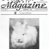 Angora Rabbit Magazine