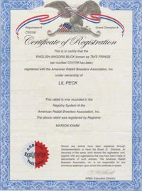 ARBA registration certificate