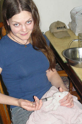 Hand feeding orphan rabbit kit