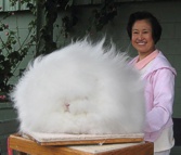 Betty Chu English Angora Rabbit